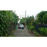 {潮州}四線道農地