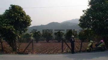 {萬巒}萬巒休閒農地