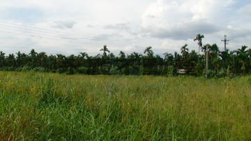 {萬巒}鹿寮農保農地