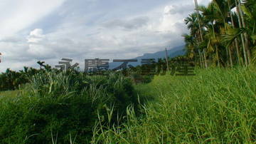 {萬巒}鹿寮農保農地