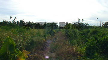 {萬巒}鹿寮農保農地