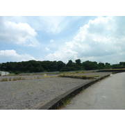 大甲房屋仲介 買賣屋大甲外埔大安 - 水美 田+建