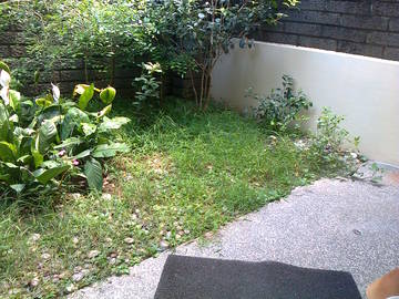 嘉義縣民雄鄉中正大學別墅