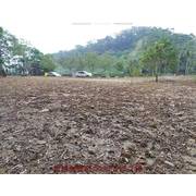 新社水底寮段土地