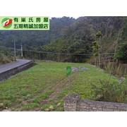 魚池鄉蓮花池角地