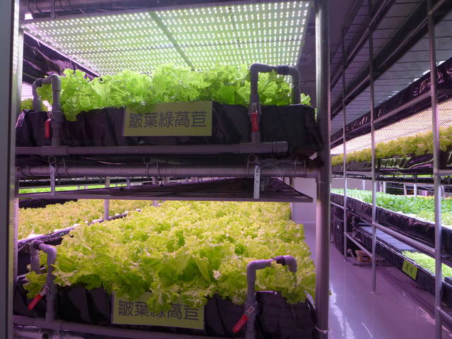 959705_4b12428e684e71a8e76af25061906ab6