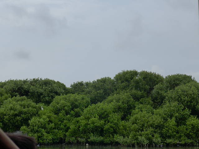 959720_89a49af0731cad4b30dc8ae76581f6f4