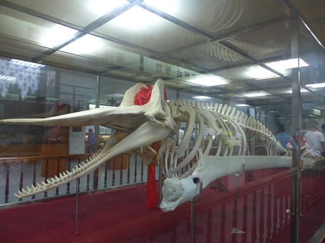 959721_fdf1657952c08767d72ef483b741414b