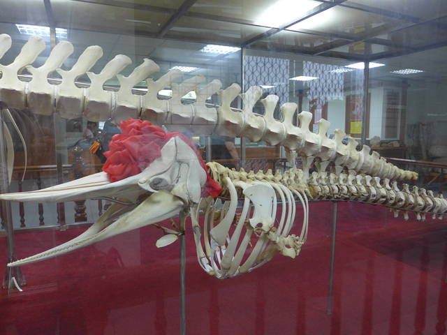 959722_e42de8c466c20e0025899418e145d026