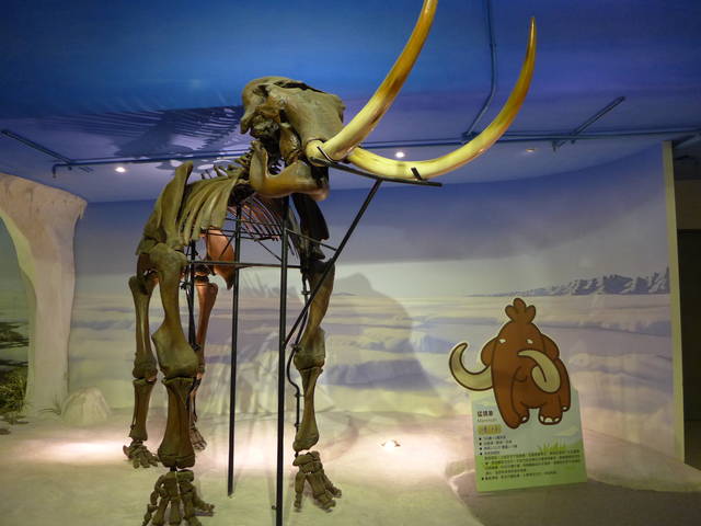 959723_e91b901749d39658d5dac6aa7899480b