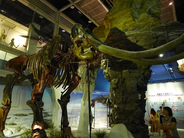 959724_c061985b585f9b8dbccda417542057e3