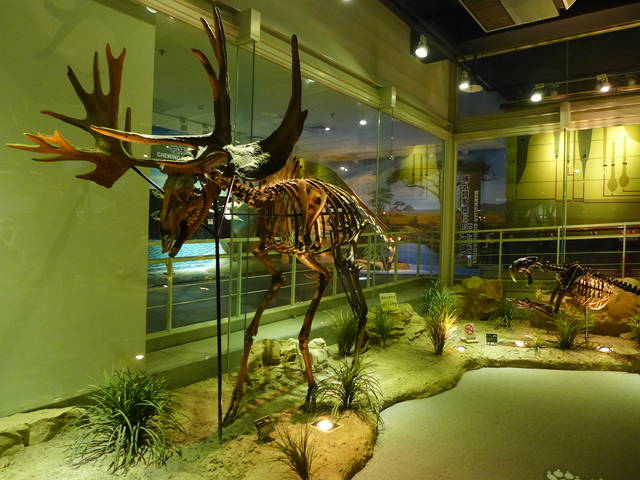 959725_5ab467c48cdb10267c2b3759f0332e11