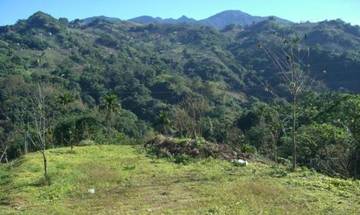 東坑路附近平坦山坡地