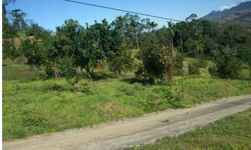 東坑路附近平坦山坡地