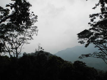 閱讀山林休閒地