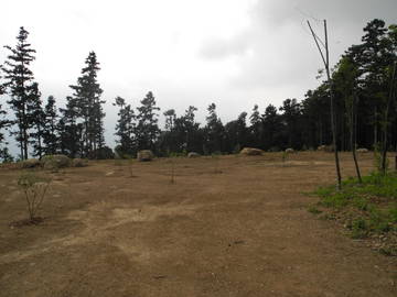 閱讀山林休閒地