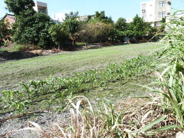 大甲房屋仲介~有巢氏大甲加盟店~孟春建地