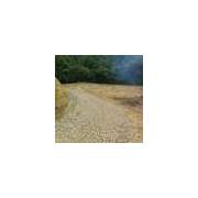 新埔鎮照門田+建別墅美地