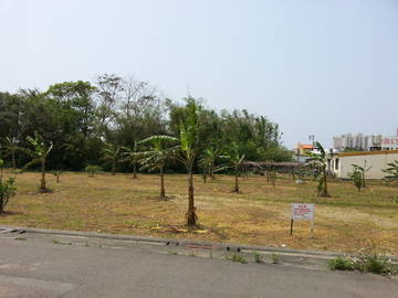 美居仰森   預售中