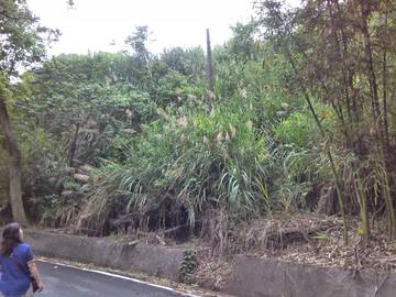 橫山超大面寬景觀美地