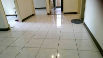 中興大學電梯大樓 3房2廳 屋況/採光極佳