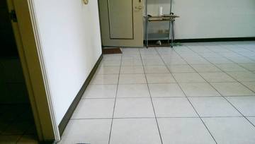 中興大學電梯大樓 3房2廳 屋況/採光極佳