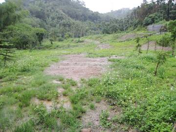 草屯南埔旱地 適安養院.老人院 可分割