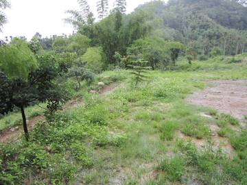 草屯南埔旱地 適安養院.老人院 可分割