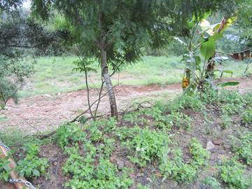 草屯南埔旱地 適安養院.老人院 可分割