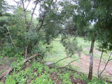 草屯南埔旱地 適安養院.老人院 可分割