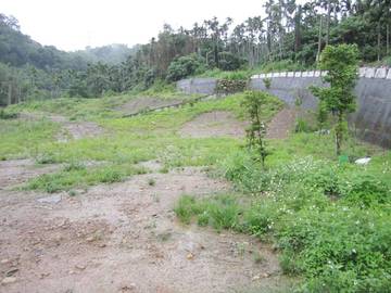 草屯南埔旱地 適安養院.老人院 可分割