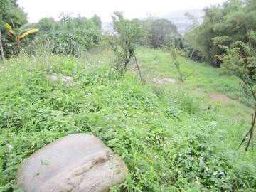 草屯南埔旱地 適安養院.老人院 可分割