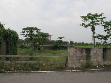 田中-大安國小建+田