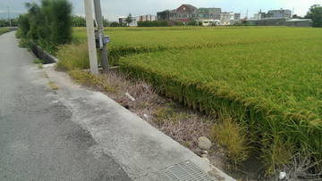 住商雅潭-大甲龍德家商田