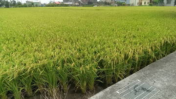 住商雅潭-大甲龍德家商田