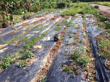 住商雅潭-神岡中山路旁角田