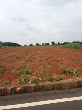 住商雅潭-國際航空美田