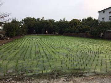 住商雅潭-神岡社南美田