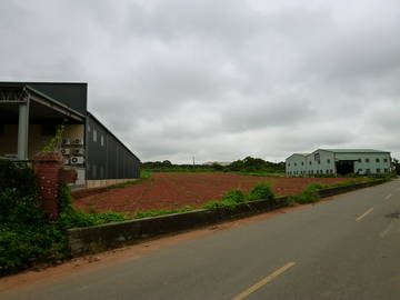 神岡新庄段農地