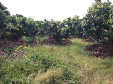 住商雅潭-和睦路美農地