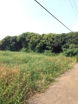 住商雅潭-和睦路美農地