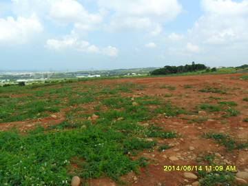 大肚山景觀農地