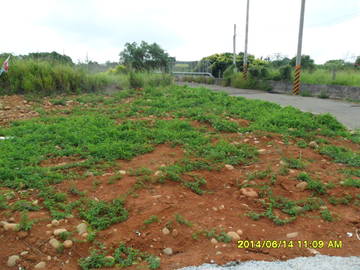 大肚山景觀農地