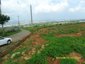 大肚山景觀農地