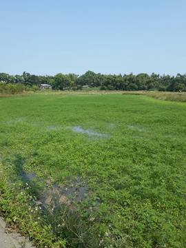 住商雅潭-中科科雅路美田