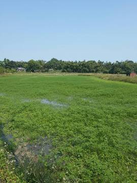 住商雅潭-中科科雅路美田