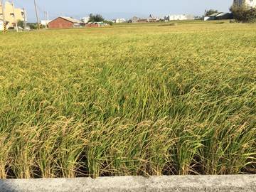 住商雅潭-順帆小水田