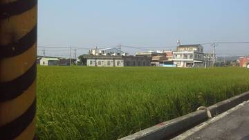 住商雅潭-苑裡泰田大路田