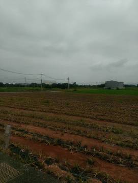 住商雅潭-正神清路邊田