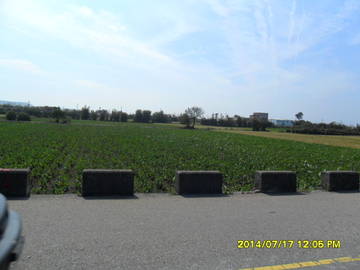 苑裡交流道農地